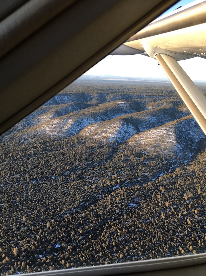 Kaibab NF View from Grand Canyon Scenic Airlines