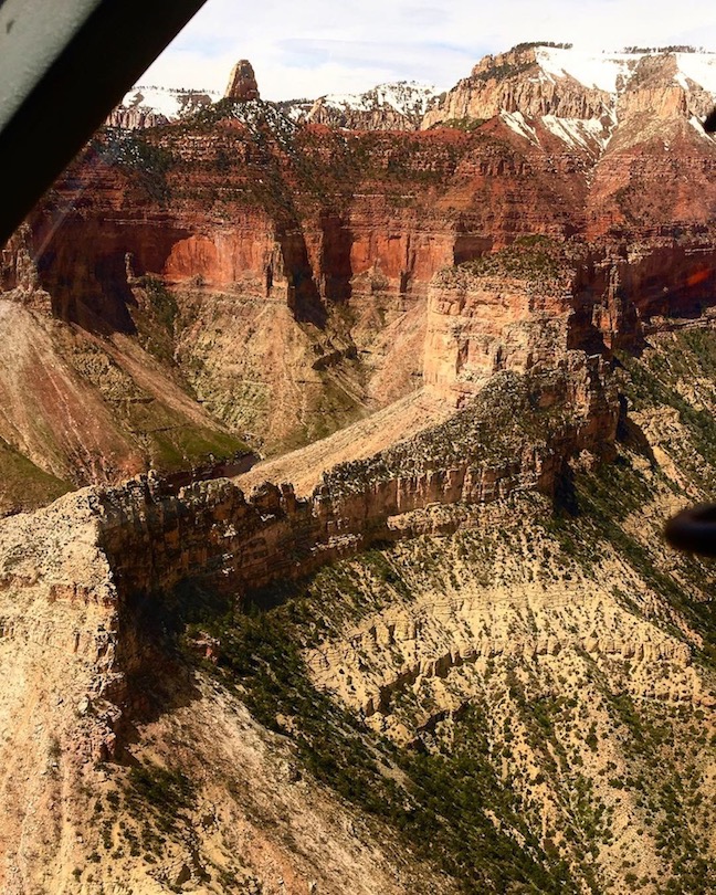 View of North Rim Grand Canyon Maverick Helicopters