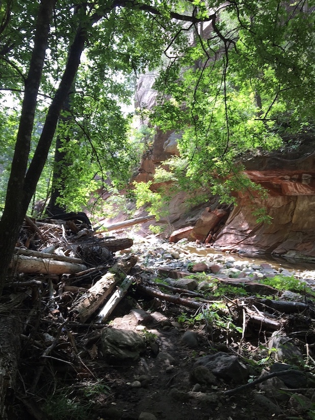 West Fork Trail Sedona shaded hike