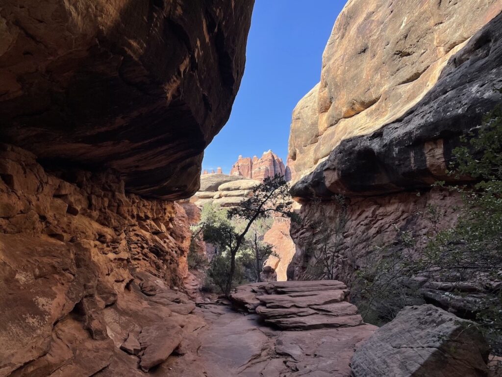 Hike to Chesler Park Viewpoint Canyonlands National Park