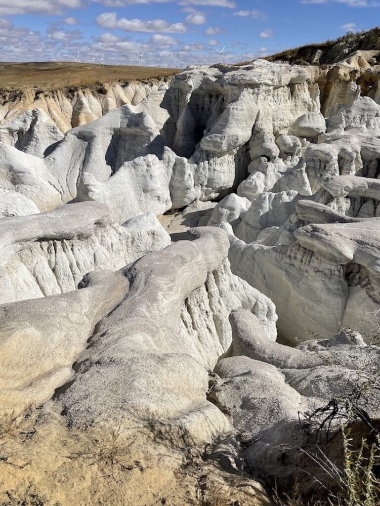 Cool parks near Colorado Springs